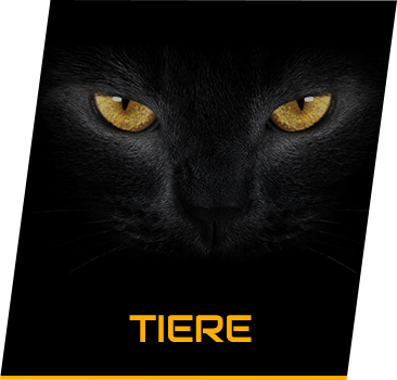 Tiere